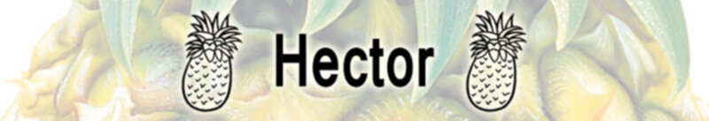 hector
