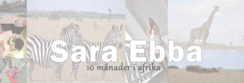 saraebba
